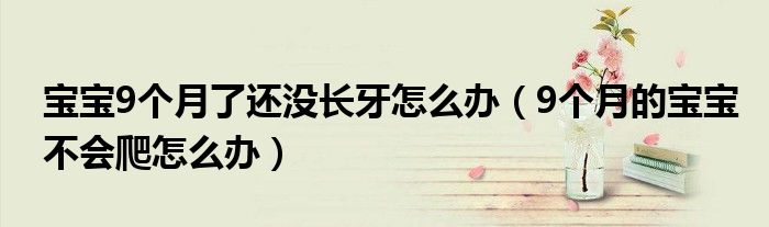 宝宝9个月了还没长牙怎么办（9个月的宝宝不会爬怎么办）