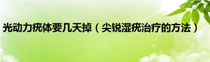 光动力疣体要几天掉（尖锐湿疣治疗的方法）