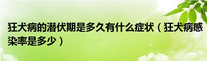 狂犬病的潜伏期是多久有什么症状（狂犬病感染率是多少）