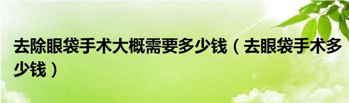 去除眼袋手术大概需要多少钱（去眼袋手术多少钱）