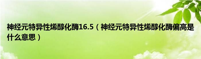 神经元特异性烯醇化酶16.5（神经元特异性烯醇化酶偏高是什么意思）