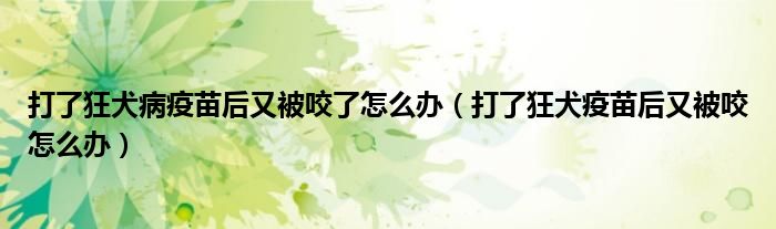 打了狂犬病疫苗后又被咬了怎么办（打了狂犬疫苗后又被咬怎么办）