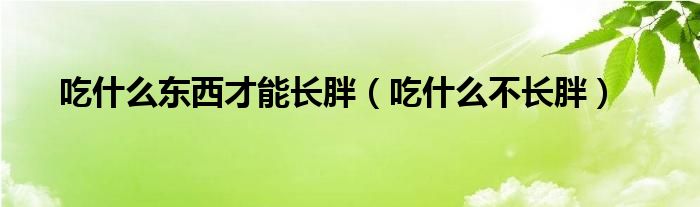 吃什么东西才能长胖（吃什么不长胖）