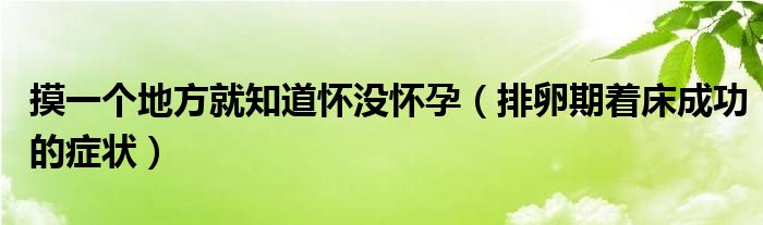 摸一个地方就知道怀没怀孕（排卵期着床成功的症状）