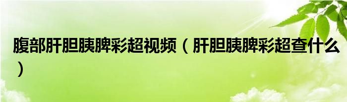 腹部肝胆胰脾彩超视频（肝胆胰脾彩超查什么）