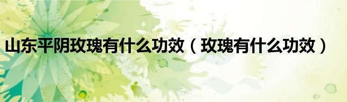 山东平阴玫瑰有什么功效（玫瑰有什么功效）