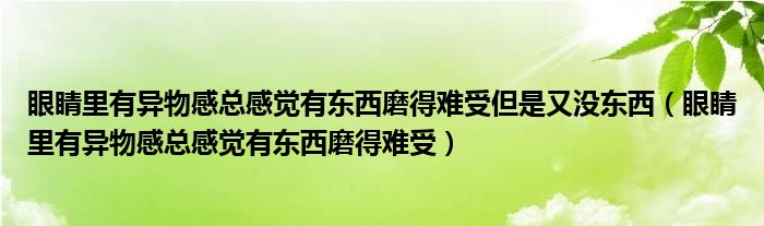 眼睛里有异物感总感觉有东西磨得难受但是又没东西（眼睛里有异物感总感觉有东西磨得难受）