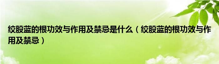 绞股蓝的根功效与作用及禁忌是什么（绞股蓝的根功效与作用及禁忌）