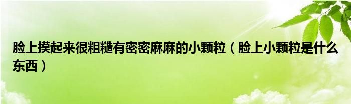 脸上摸起来很粗糙有密密麻麻的小颗粒（脸上小颗粒是什么东西）