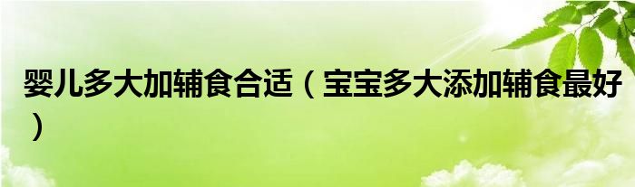 婴儿多大加辅食合适（宝宝多大添加辅食最好）