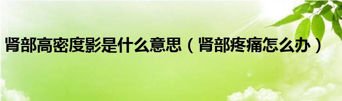 肾部高密度影是什么意思（肾部疼痛怎么办）