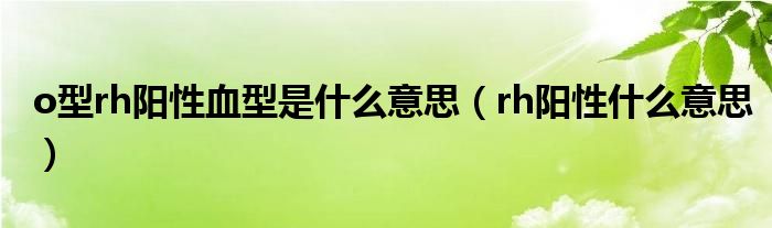 o型rh阳性血型是什么意思（rh阳性什么意思）