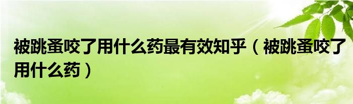 被跳蚤咬了用什么药最有效知乎（被跳蚤咬了用什么药）