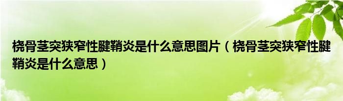 桡骨茎突狭窄性腱鞘炎是什么意思图片（桡骨茎突狭窄性腱鞘炎是什么意思）