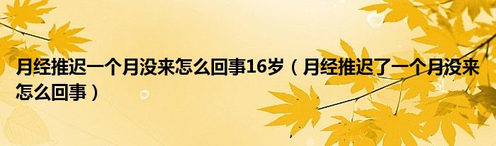 月经推迟一个月没来怎么回事16岁（月经推迟了一个月没来怎么回事）