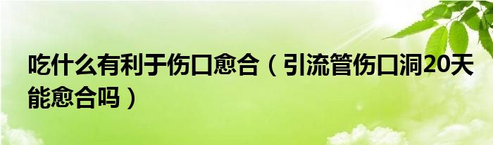 吃什么有利于伤口愈合（引流管伤口洞20天能愈合吗）