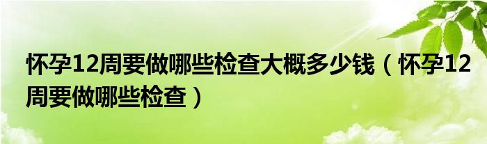 怀孕12周要做哪些检查大概多少钱（怀孕12周要做哪些检查）