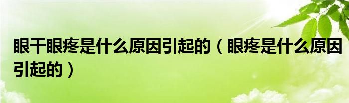 眼干眼疼是什么原因引起的（眼疼是什么原因引起的）