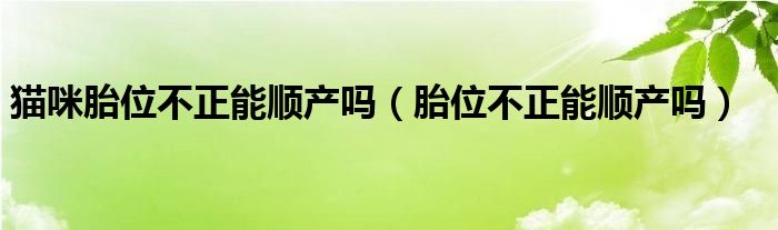 猫咪胎位不正能顺产吗（胎位不正能顺产吗）