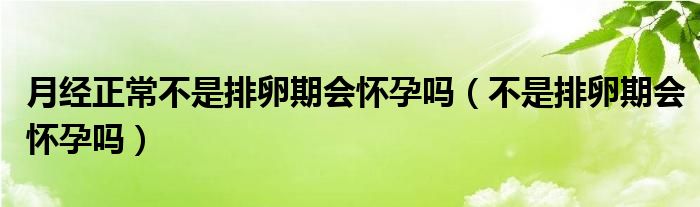 月经正常不是排卵期会怀孕吗（不是排卵期会怀孕吗）