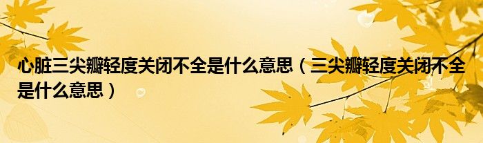 心脏三尖瓣轻度关闭不全是什么意思（三尖瓣轻度关闭不全是什么意思）