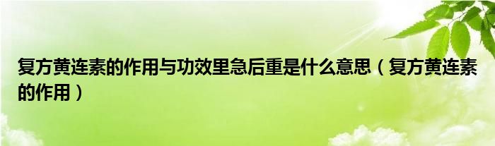 复方黄连素的作用与功效里急后重是什么意思（复方黄连素的作用）