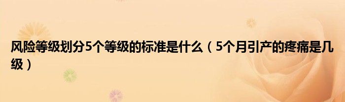 风险等级划分5个等级的标准是什么（5个月引产的疼痛是几级）