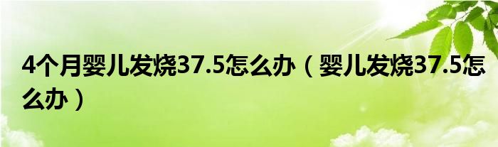 4个月婴儿发烧37.5怎么办（婴儿发烧37.5怎么办）