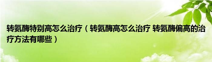 转氨酶特别高怎么治疗（转氨酶高怎么治疗 转氨酶偏高的治疗方法有哪些）