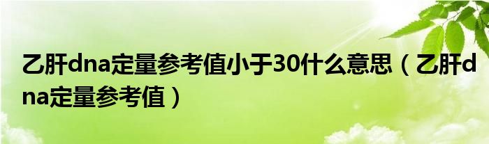 乙肝dna定量参考值小于30什么意思（乙肝dna定量参考值）