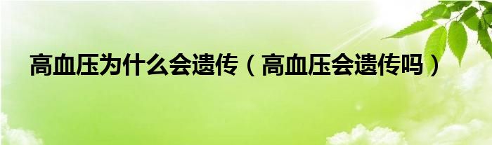 高血压为什么会遗传（高血压会遗传吗）