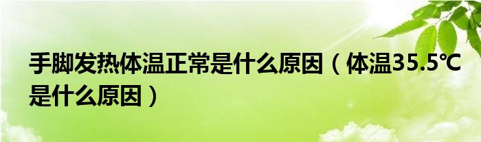 手脚发热体温正常是什么原因（体温35.5℃是什么原因）