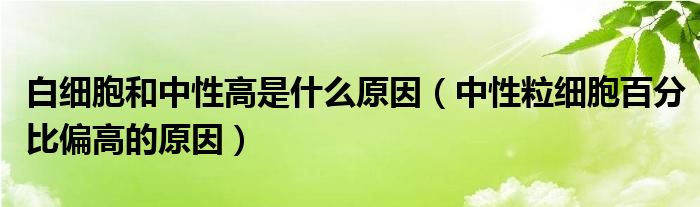 白细胞和中性高是什么原因（中性粒细胞百分比偏高的原因）