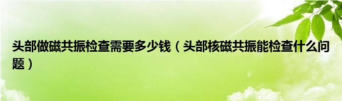 头部做磁共振检查需要多少钱（头部核磁共振能检查什么问题）