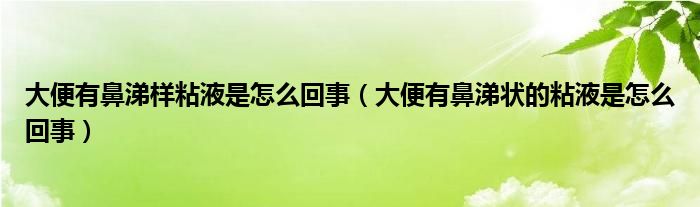 大便有鼻涕样粘液是怎么回事（大便有鼻涕状的粘液是怎么回事）