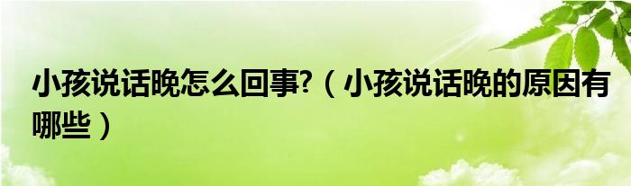 小孩说话晚怎么回事?（小孩说话晚的原因有哪些）