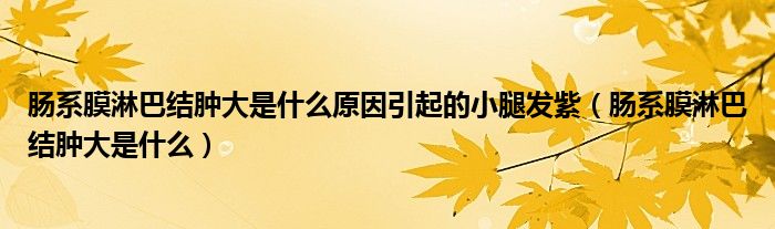 肠系膜淋巴结肿大是什么原因引起的小腿发紫（肠系膜淋巴结肿大是什么）