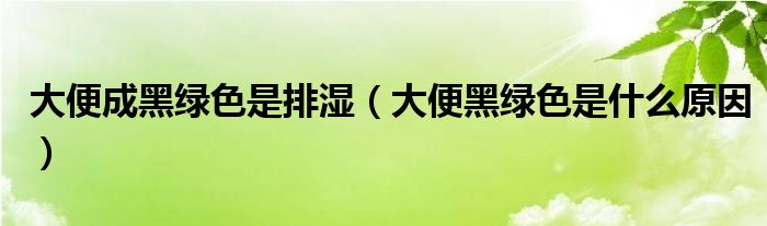 大便成黑绿色是排湿（大便黑绿色是什么原因）