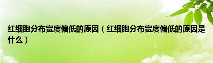 红细胞分布宽度偏低的原因（红细胞分布宽度偏低的原因是什么）