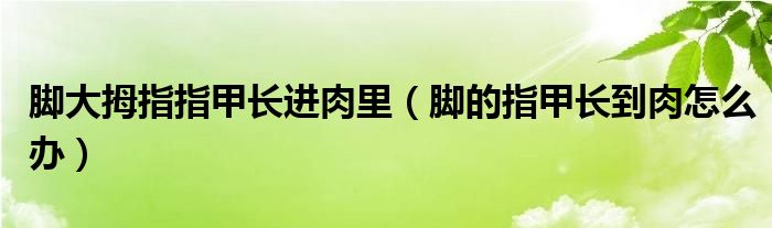 脚大拇指指甲长进肉里（脚的指甲长到肉怎么办）