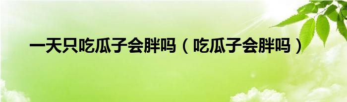 一天只吃瓜子会胖吗（吃瓜子会胖吗）