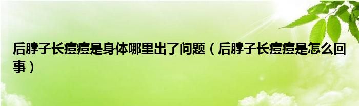 后脖子长痘痘是身体哪里出了问题（后脖子长痘痘是怎么回事）