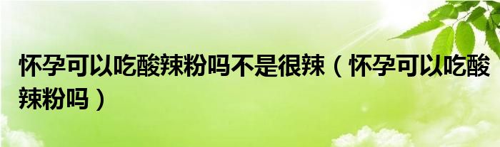 怀孕可以吃酸辣粉吗不是很辣（怀孕可以吃酸辣粉吗）