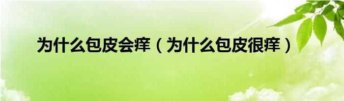 为什么包皮会痒（为什么包皮很痒）