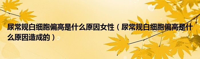 尿常规白细胞偏高是什么原因女性（尿常规白细胞偏高是什么原因造成的）