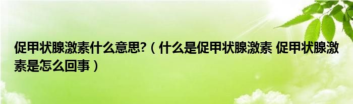 促甲状腺激素什么意思?（什么是促甲状腺激素 促甲状腺激素是怎么回事）