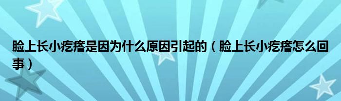 脸上长小疙瘩是因为什么原因引起的（脸上长小疙瘩怎么回事）