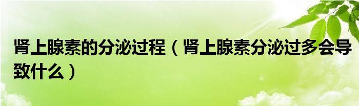 肾上腺素的分泌过程（肾上腺素分泌过多会导致什么）