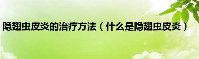 隐翅虫皮炎的治疗方法（什么是隐翅虫皮炎）