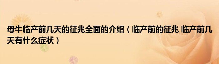 母牛临产前几天的征兆全面的介绍（临产前的征兆 临产前几天有什么症状）